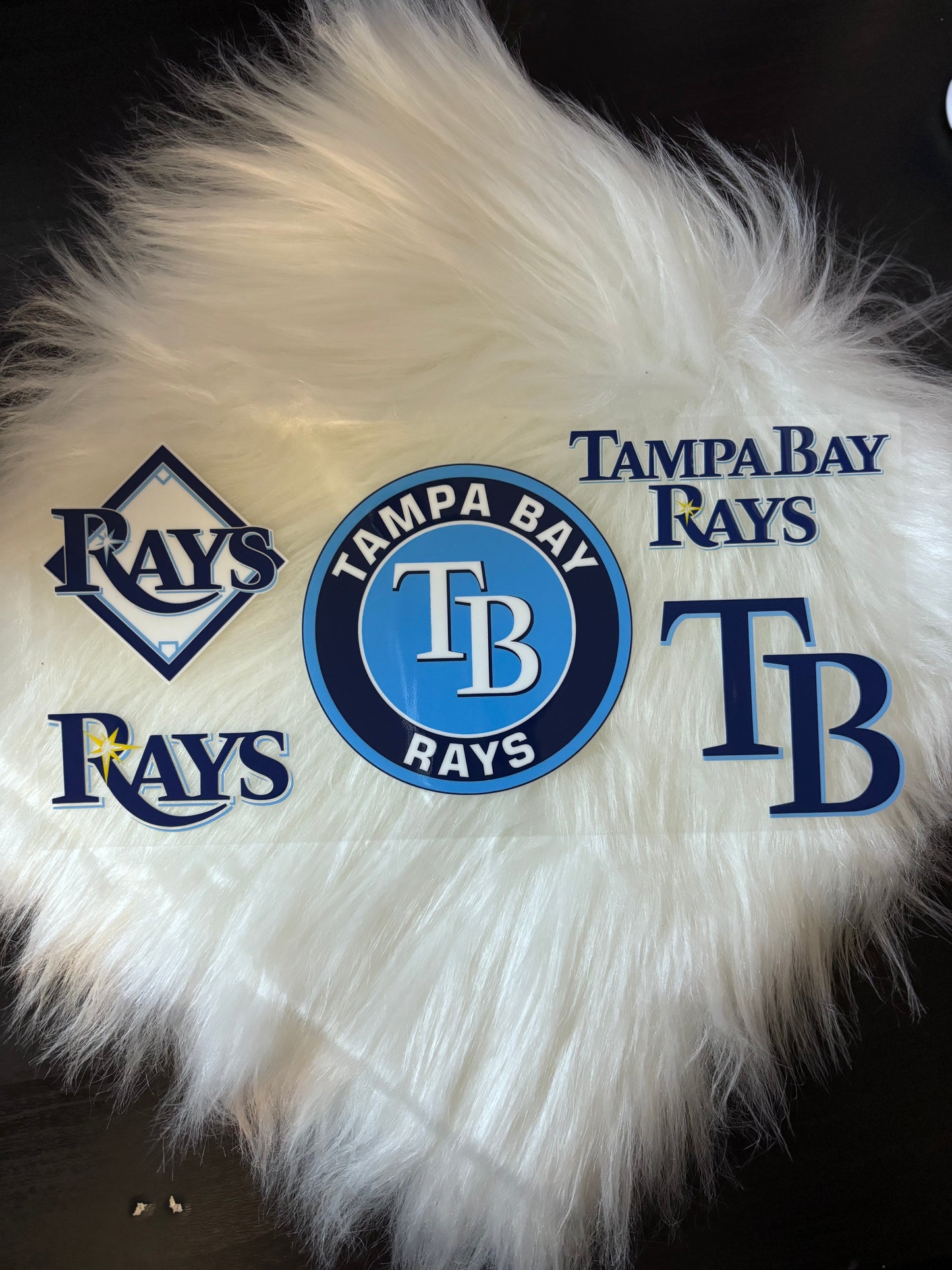 UV DTF Wrap- TB Rays